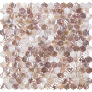 mixed color hexagonal mother of pearl mosaic tile