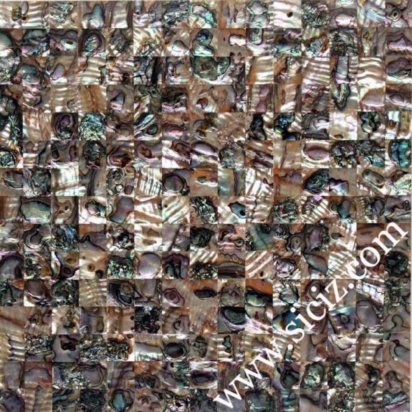 abalone seamless seashell mosaic tile