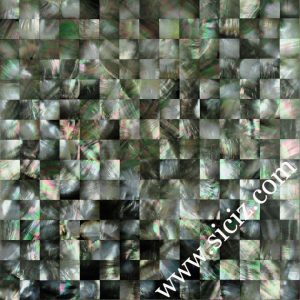 black lip mother of pearl mosaic tile