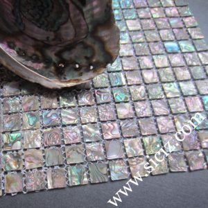 abalone seashell mosaic tile