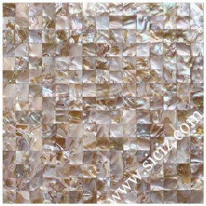 multicolored seamless square mother of pearl mosaic tile