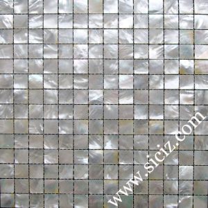 white lip mother of pearl mosaic tile