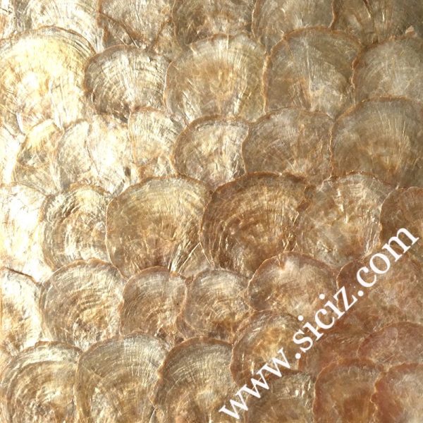 golden capiz shell tile