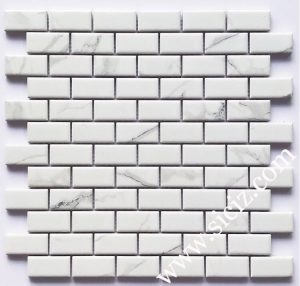 white subway ceramic mosaic tile