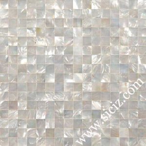 white lip square seashell mosaic tile